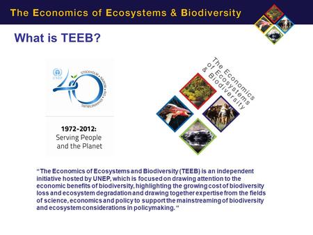 TEEB's main reports What is TEEB? “The Economics of Ecosystems and Biodiversity (TEEB) is an independent initiative hosted by UNEP, which is focused on.