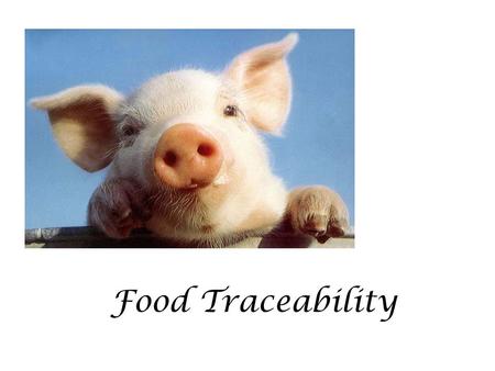 Food Traceability. WHAT IS TRACEABILITY? The traceability is the ability to trace and follow the path of any kind of food from the processing up to the.