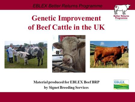 EBLEX Better Returns Programme Material produced for EBLEX Beef BRP by Signet Breeding Services Genetic Improvement of Beef Cattle in the UK.