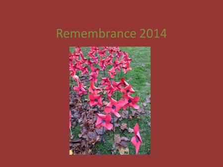 Remembrance 2014. The children in Key Stage 2 have taken part in a variety of events during the week to mark the Centenary year off WW1. They thought.