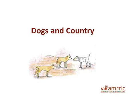 Dogs and Country. The health of the place we live in has a big impact on our health. Dogs can help us live well on country but they can also dirty water,