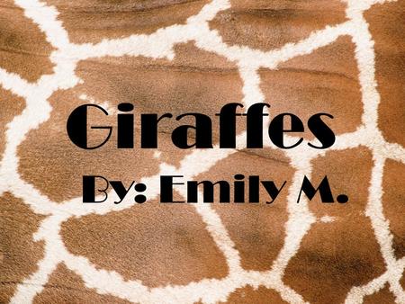 Giraffes By: Emily M. Physical Characteristics  Giraffes are 14 to 17 feet tall when they are grown.  Their tongues are black with a sandpaper texture.