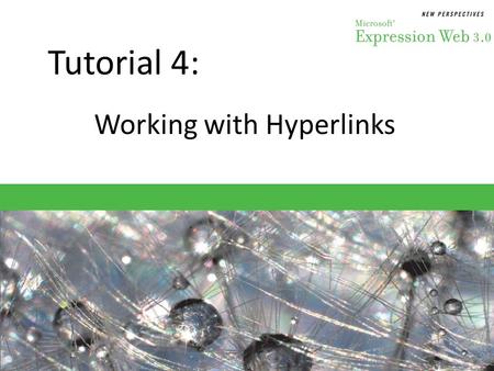 Tutorial 4: Working with Hyperlinks. Objectives Session 4.1 – Place bookmarks on a Web page – Create a link to a bookmark – Create a link to another Web.