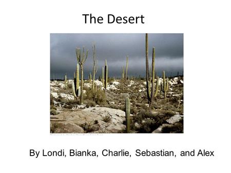 The Desert By Londi, Bianka, Charlie, Sebastian, and Alex.