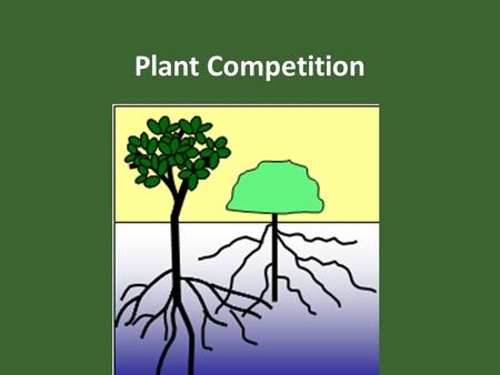 Plant Competition. Today we will… Understand differences between intraspecific and interspecific competition Measure plant competition in Sanford Woodlot.