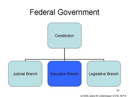 THE THREE BRANCHES OF GOVERNMENT * Legislative * Executive * Judicial Watch Video People Trying to Name Three Branches.