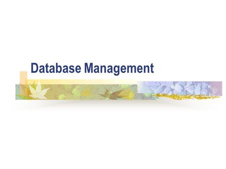 Database Management. ICT5 Database Administration (DBA) The DBA’s tasks will include the following: 1. The design of the database. After the initial design,