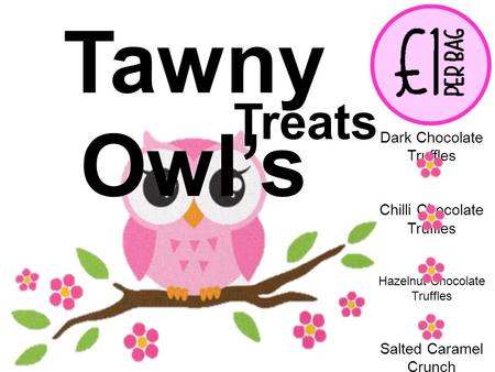 Tawny Owl’s Treats Dark Chocolate Truffles Chilli Chocolate Truffles Hazelnut Chocolate Truffles Salted Caramel Crunch Fudge.