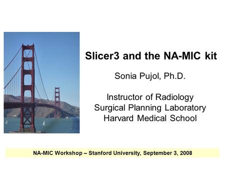 NA-MIC National Alliance for Medical Image Computing  Slicer3 and the NA-MIC kit Sonia Pujol, Ph.D. Instructor of Radiology Surgical Planning.