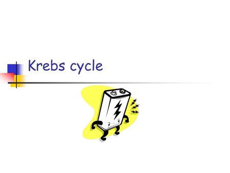 Krebs cycle. Krebs Cycle (Citric acid cycle) Series of 8 sequential reactions Matrix of the mitorchondria Synthesis of 2 ATP Generation of 8 energetic.