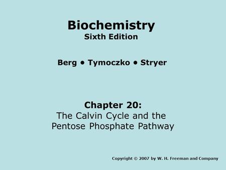 Chapter 20: The Calvin Cycle and the Pentose Phosphate Pathway Copyright © 2007 by W. H. Freeman and Company Berg Tymoczko Stryer Biochemistry Sixth Edition.