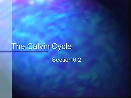 The Calvin Cycle Section 6.2.