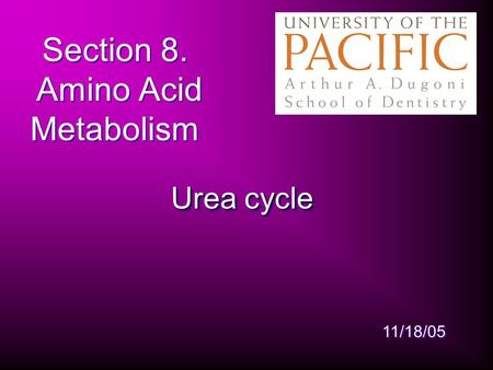Section 8. Amino Acid Metabolism Urea cycle 11/18/05.