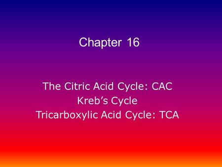 Chapter 16 The Citric Acid Cycle: CAC Kreb’s Cycle
