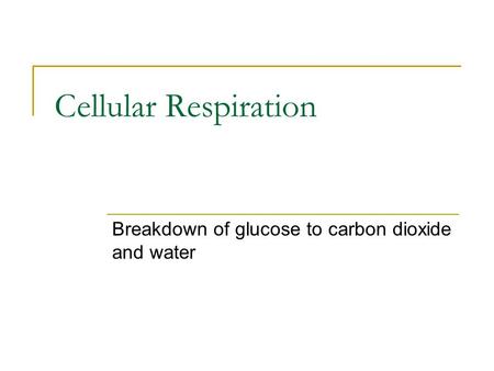Cellular Respiration Breakdown of glucose to carbon dioxide and water.