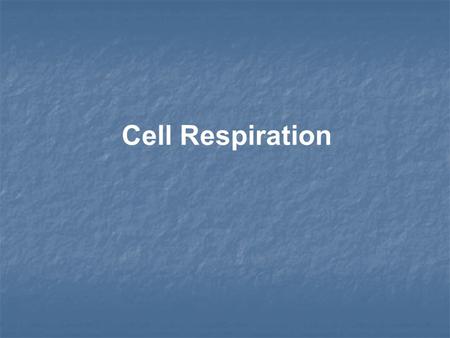 Cell Respiration. Cellular Respiration To perform their many tasks cells require transfusions of energy from outside sources To perform their many tasks.