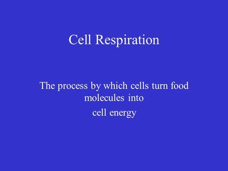 Cell Respiration The process by which cells turn food molecules into cell energy.