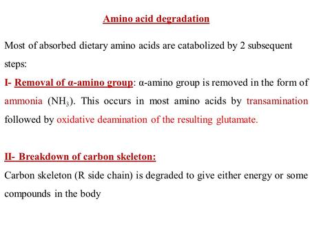 Amino acid degradation Most of absorbed dietary amino acids are catabolized by 2 subsequent steps: I- Removal of α-amino group: α-amino group is removed.