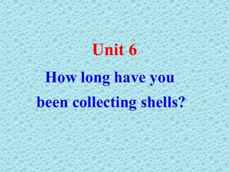 How long have you been collecting shells? Unit 6.