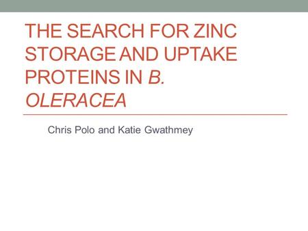 THE SEARCH FOR ZINC STORAGE AND UPTAKE PROTEINS IN B. OLERACEA Chris Polo and Katie Gwathmey.