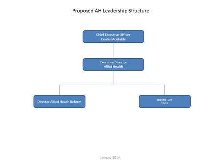 Executive Director Allied Health Director Allied Health Reform Director, AH TQEH Proposed AH Leadership Structure Chief Executive Officer Central Adelaide.