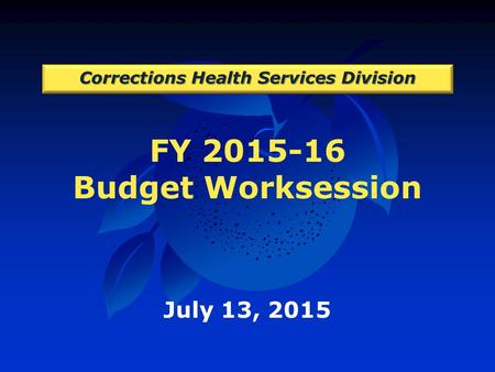 FY 2015-16 Budget Worksession Corrections Health Services Division July 13, 2015.