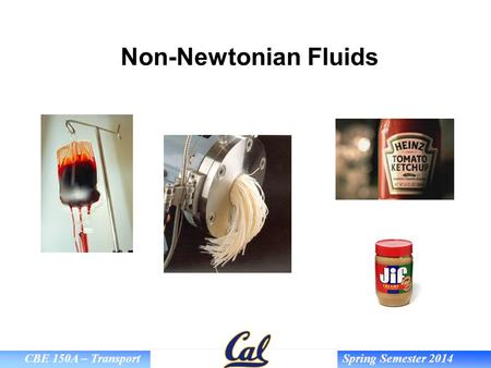 Non-Newtonian Fluids.