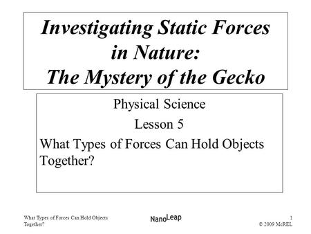 What Types of Forces Can Hold Objects Together? 1 © 2009 McREL Investigating Static Forces in Nature: The Mystery of the Gecko Physical Science Lesson.
