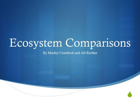  Ecosystem Comparisons By Marley Crawford and Ali Richter.