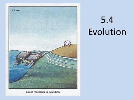 5.4 Evolution. Define Evolution Evolution is the process of cumulative change in the heritable characteristics of a population Charles Darwin at age 22.