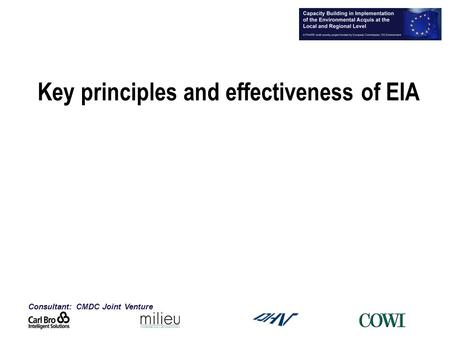 Consultant: CMDC Joint Venture Key principles and effectiveness of EIA.