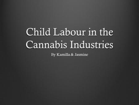 Child Labour in the Cannabis Industries