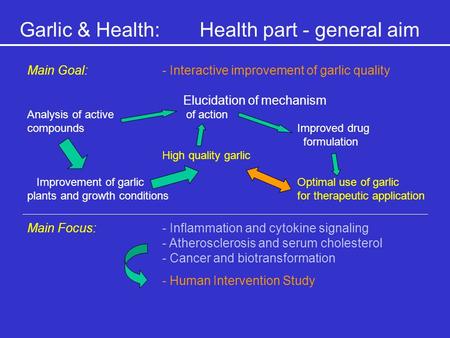 Garlic & Health:Health part - general aim Main Goal:- Interactive improvement of garlic quality Elucidation of mechanism Analysis of active of action compoundsImproved.