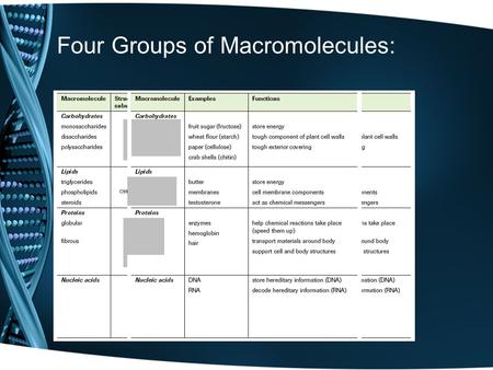 Four Groups of Macromolecules:. Fourth Macromolecule Group: Nucleic Acids.