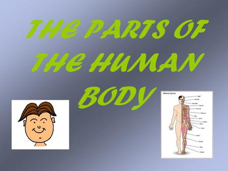THE PARTS OF THE HUMAN BODY. The human body The human body is a wide-ranging, interesting topic which can be used to teach not only language skills, but.