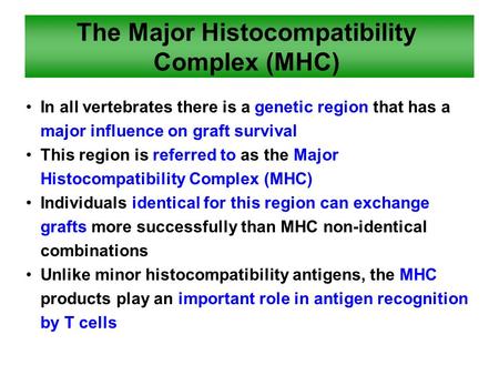 The Major Histocompatibility Complex (MHC) In all vertebrates there is a genetic region that has a major influence on graft survival This region is referred.