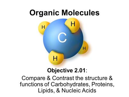 Organic Molecules Objective 2.01: