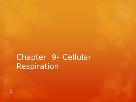Chapter 9- Cellular Respiration 1. 9.1 A. Harvesting the Energy in Food 1. both producers and consumers undergo cellular respiration to make ATP from.