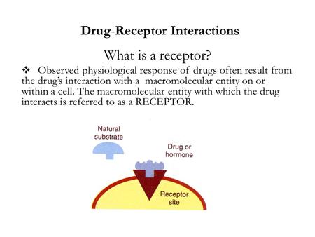 Drug-Receptor Interactions What is a receptor?  Observed physiological response of drugs often result from the drug’s interaction with a macromolecular.