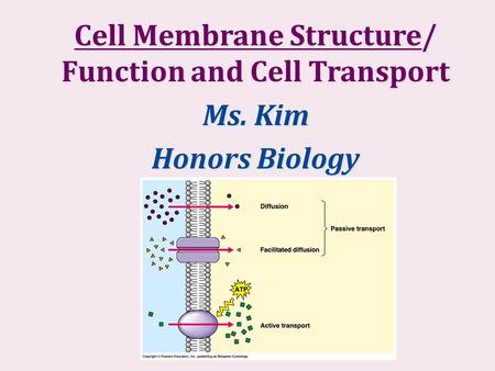 Cell Membrane Structure/ Function and Cell Transport Ms. Kim Honors Biology.