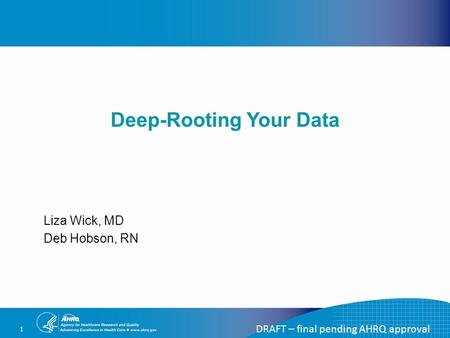 DRAFT – final pending AHRQ approval 1 Deep-Rooting Your Data Liza Wick, MD Deb Hobson, RN.