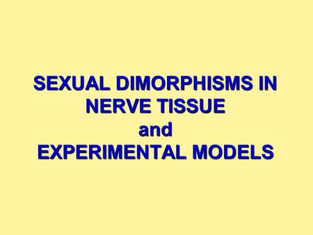 SEXUAL DIMORPHISMS IN NERVE TISSUE and EXPERIMENTAL MODELS