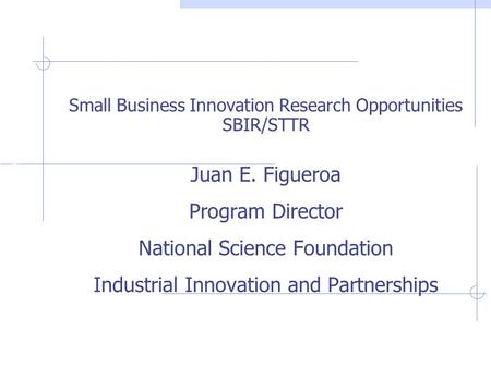 Industrial Innovations & Partnerships Juan E. Figueroa Program Director National Science Foundation Industrial Innovation and Partnerships Small Business.