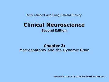 Clinical Neuroscience Second Edition Chapter 3: Macroanatomy and the Dynamic Brain Kelly Lambert and Craig Howard Kinsley Copyright © 2011 by Oxford University.