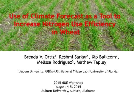 Use of Climate Forecast as a Tool to Increase Nitrogen Use Efficiency in Wheat Brenda V. Ortiz 1, Reshmi Sarkar 1, Kip Balkcom 2, Melissa Rodriguez 3,