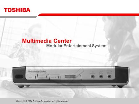 Modular Entertainment System