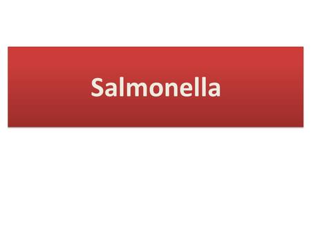 Salmonella. General Ch.  Inhabitant of human and animal intestine.  Gram-negative bacilli, non capsulated, motile, non spore forming.  Non lactose.