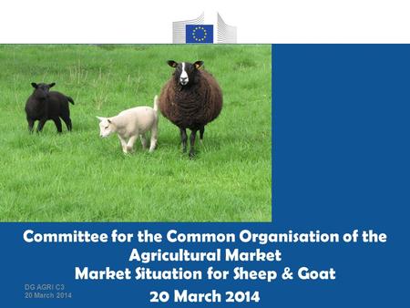 Group housing of pregnant sows as applicable from 1 January 2013 Committee for the Common Organisation of the Agricultural Market Market Situation for.