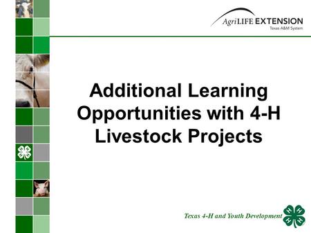 Additional Learning Opportunities with 4-H Livestock Projects Texas 4-H and Youth Development.