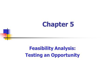 Feasibility Analysis: Testing an Opportunity